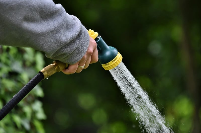 Crystal Watering Can