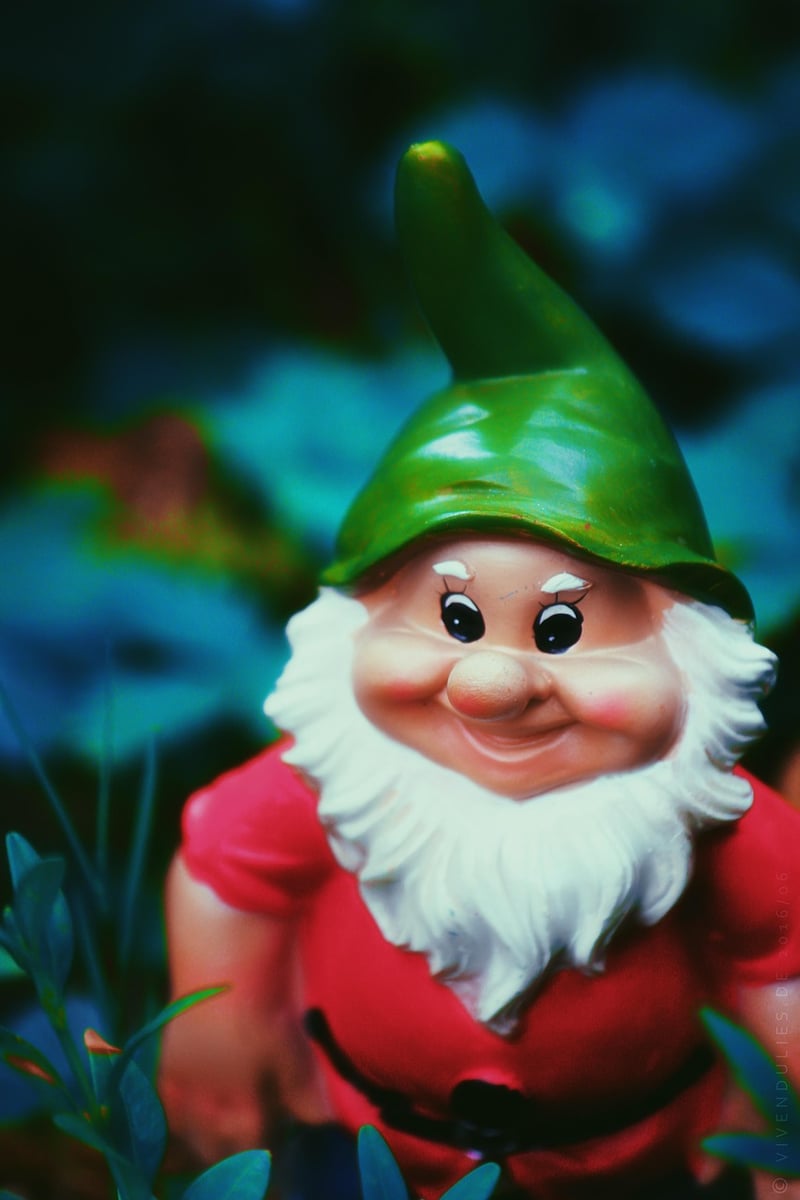 Fairy Garden