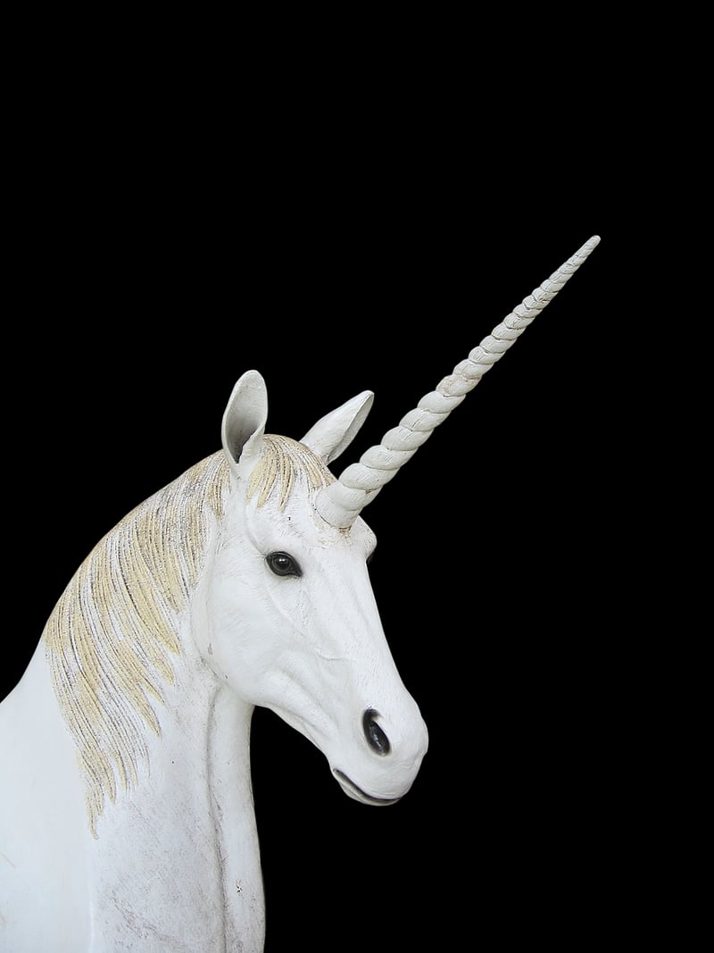 Unicorn Friends